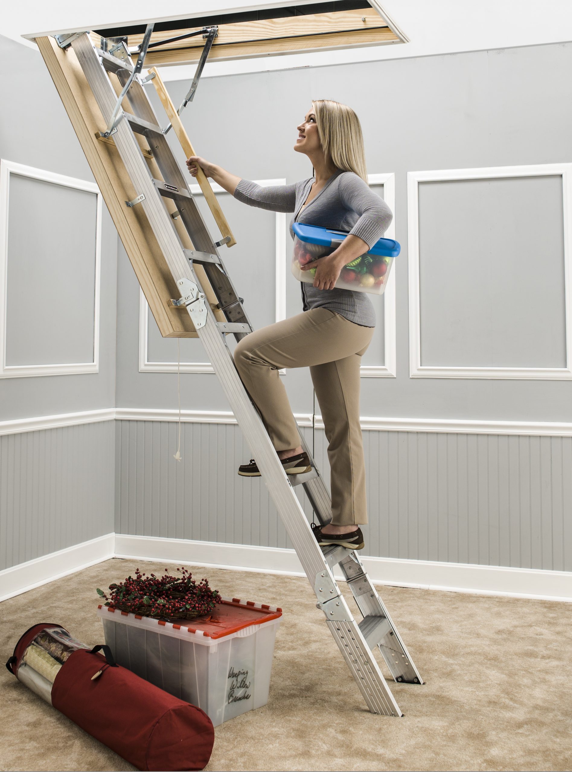 Safe Ladders